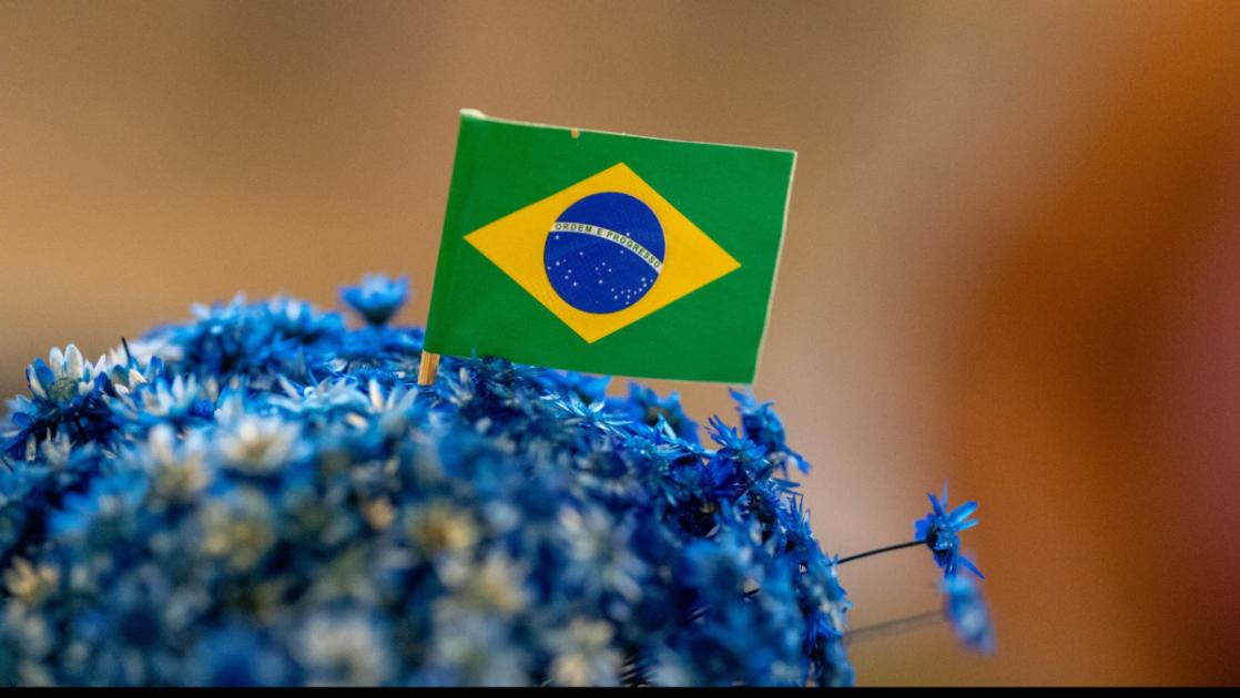 O «coach» por trás de Flávio Bolsonaro