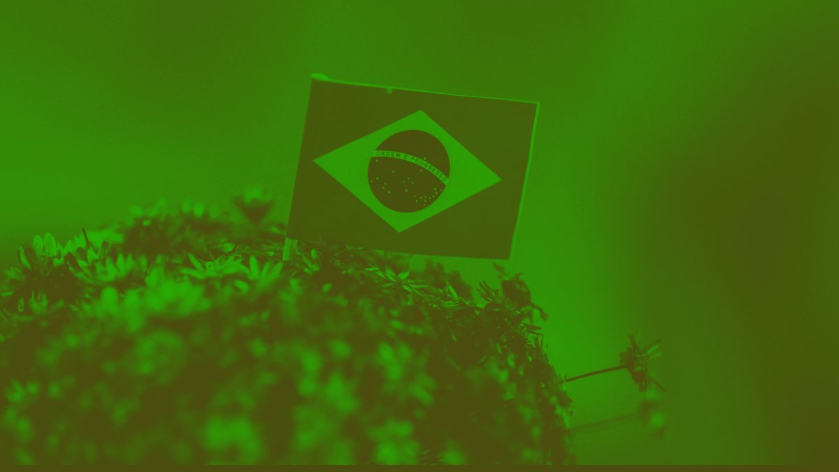 O «coach» por trás de Flávio Bolsonaro