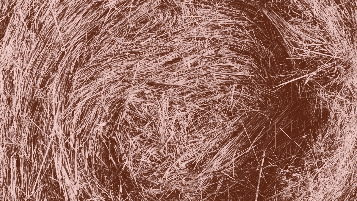 Feito de palha