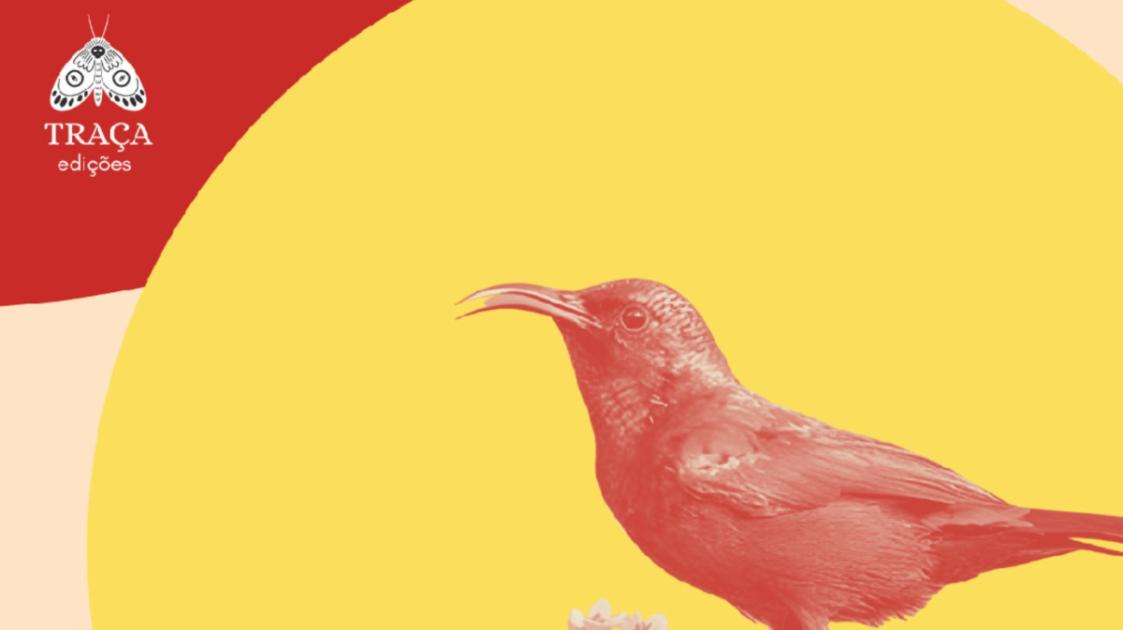 Poesia de uma Palestina devastada (pré-publicação)
