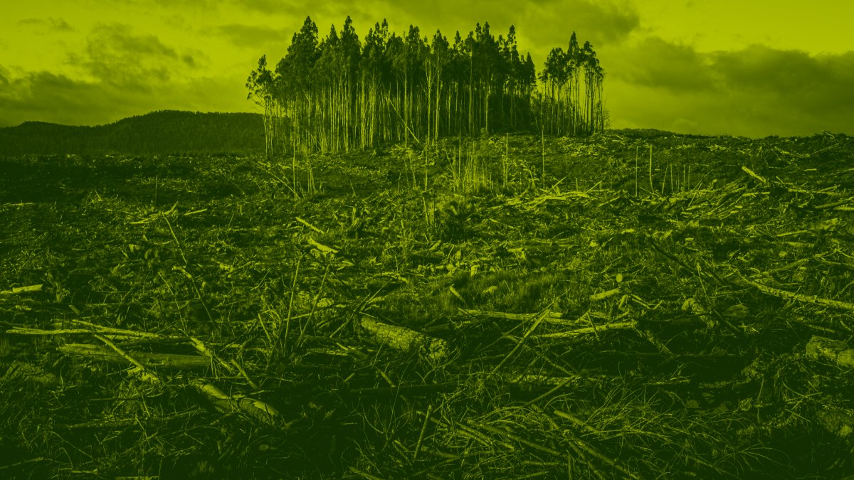 Riscos climáticos: entre o que sabemos e o que fazemos
