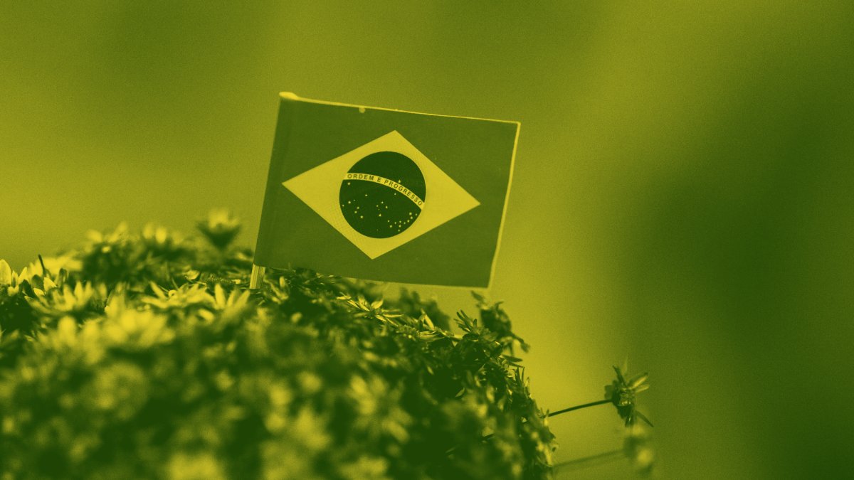 A eleição no Brasil pode passar pelo STF